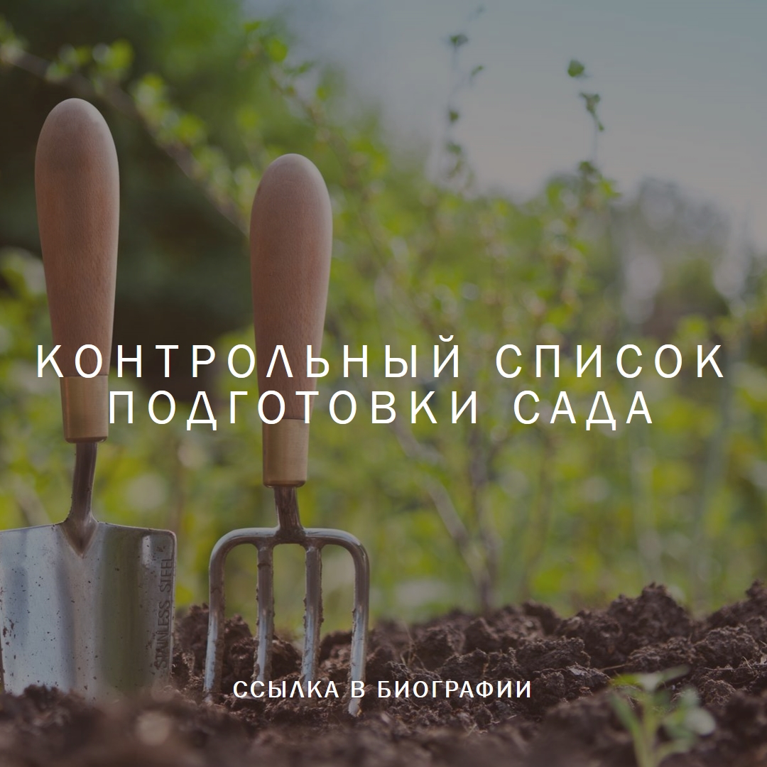 Бросьте в шпиль green modern-simple
