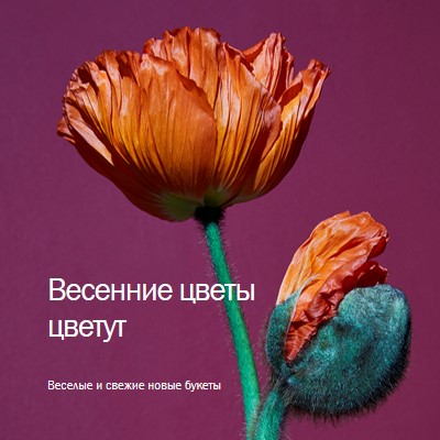 Свежие цветы purple modern-simple