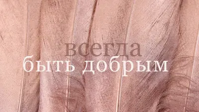 Дружественная структура pink modern-simple