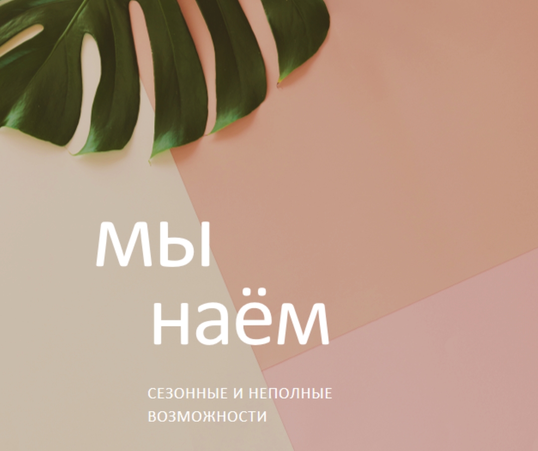 Мы нанимаем сезонных работников pink modern-simple