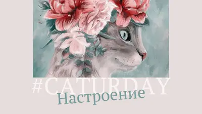 Кошачьи чувства pink modern-simple