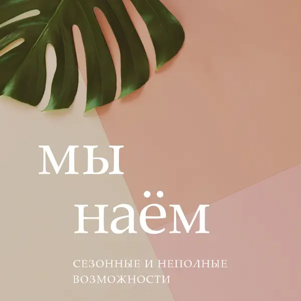 Мы нанимаем сезонных работников pink modern-simple
