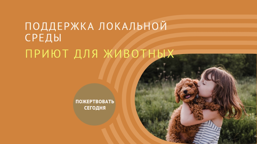 Помощник по укрытию orange whimsical-color-block