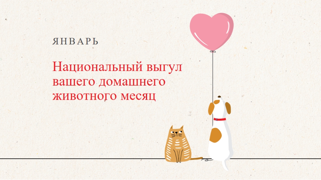 Прогулка со мной gray whimsical-color-block