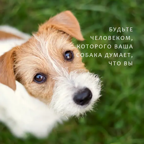 Важная птица green modern-simple