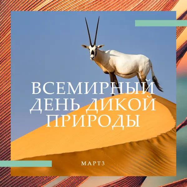 Празднование дикой природы orange modern-bold