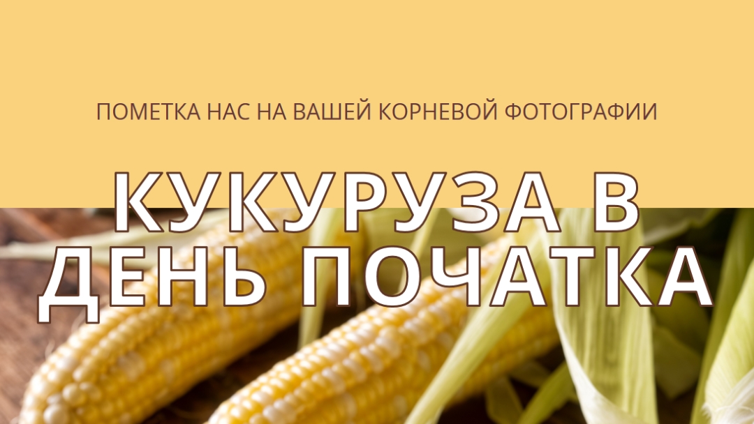 Отряд початка yellow modern-simple