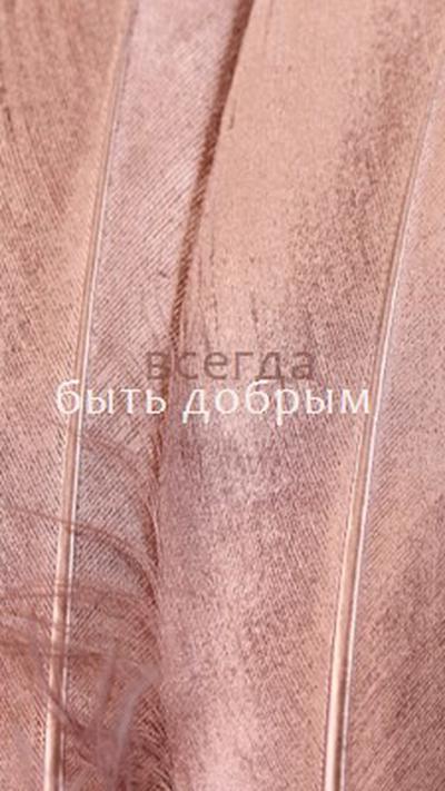 Дружественная структура pink modern-simple