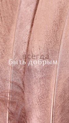 Дружественная структура pink modern-simple