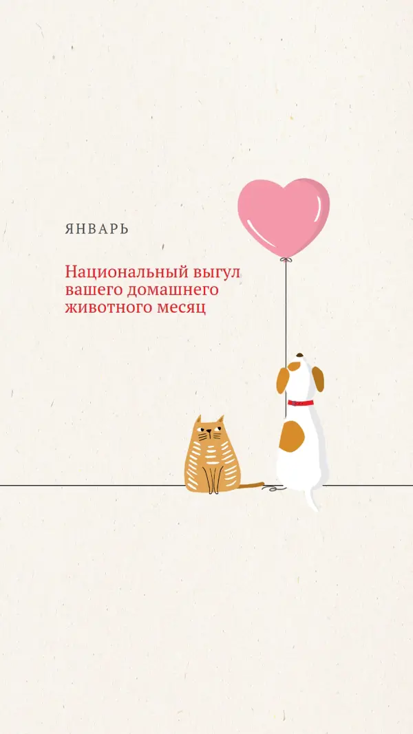 Прогулка со мной gray whimsical-color-block