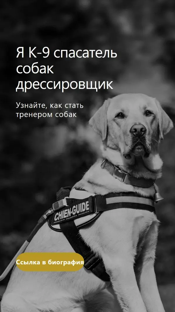 Я спасательная собака дрессировщик black modern-simple