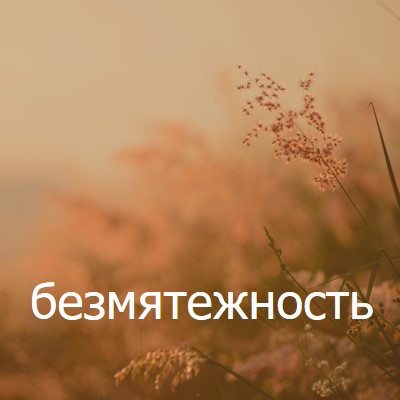 Поля безмятежности brown modern,minimal,nature,quiet,soft,plants