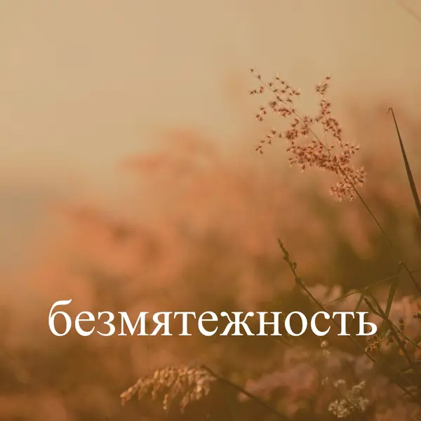 Поля безмятежности brown modern,minimal,nature,quiet,soft,plants