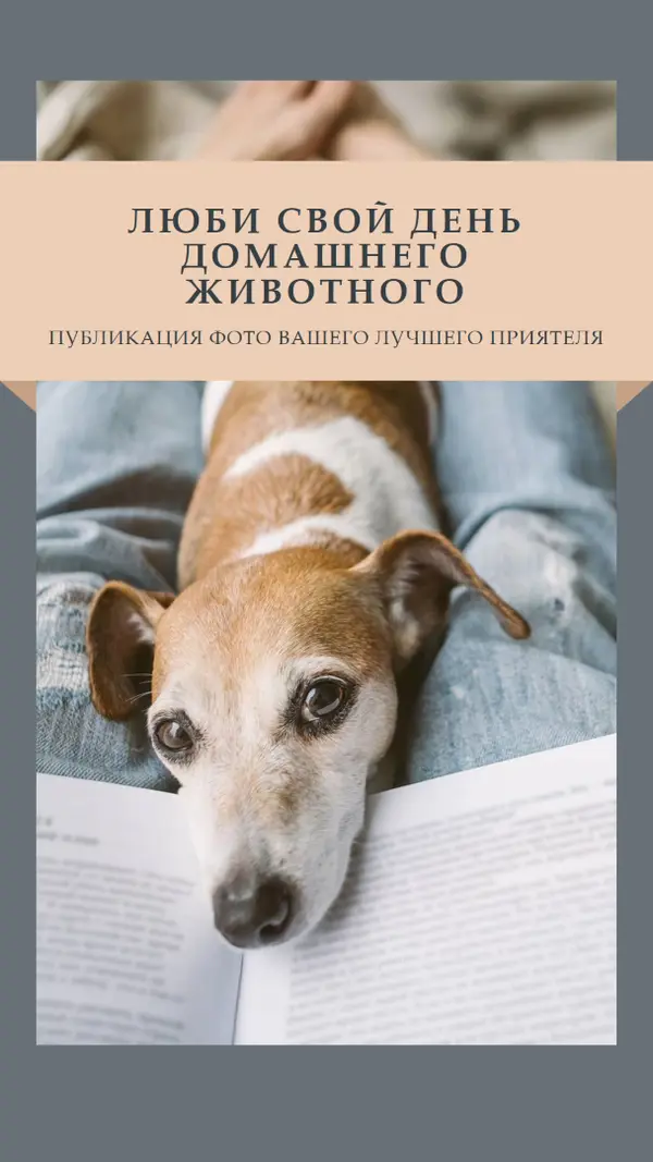 Ваш лучший приятель gray modern-simple