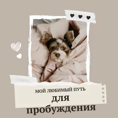 Мой любимый способ пробуждения brown modern,scrapbook,paper,collage,brushstroke,handwriting,