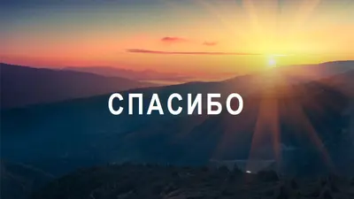 Новый рассвет blue modern-simple