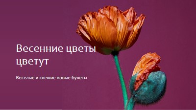 Свежие цветы purple modern-simple