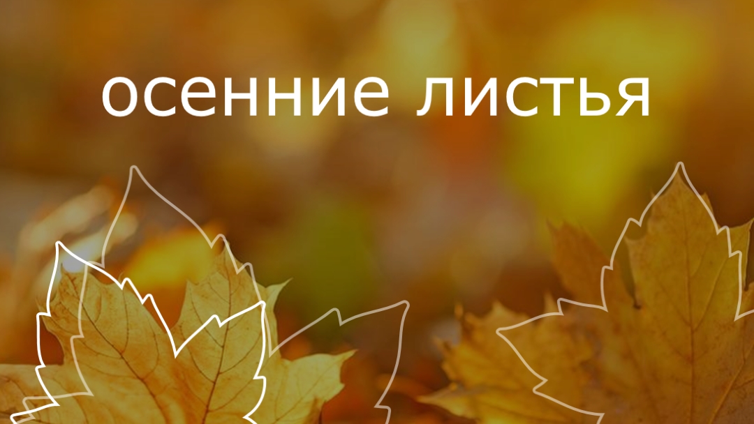 Осенние листья orange organic-simple