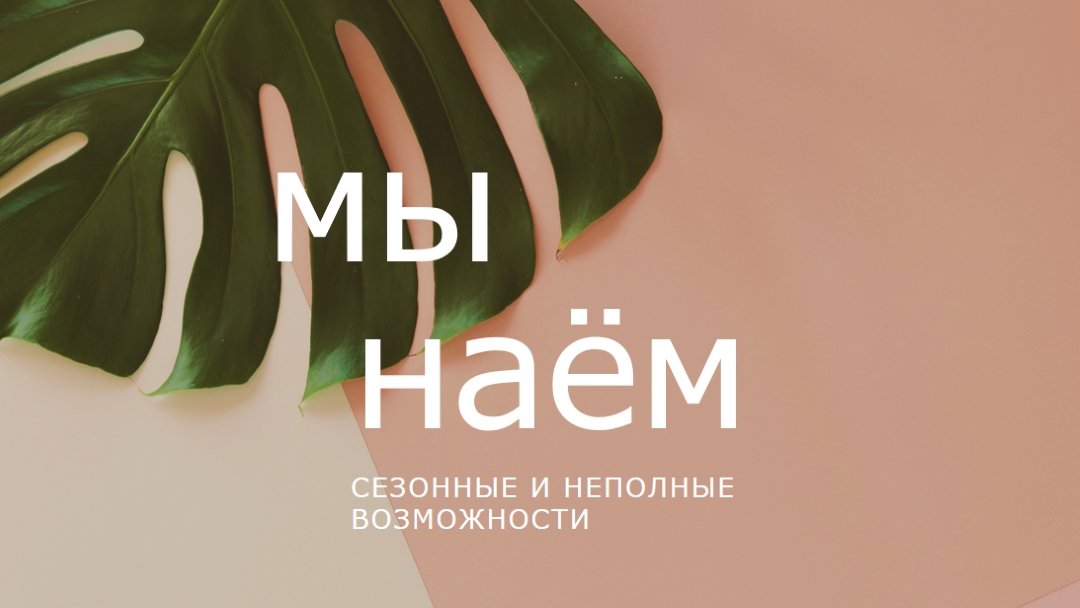 Мы нанимаем сезонных работников pink modern-simple