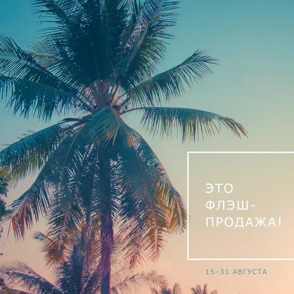 Тропический восход солнца blue modern-simple