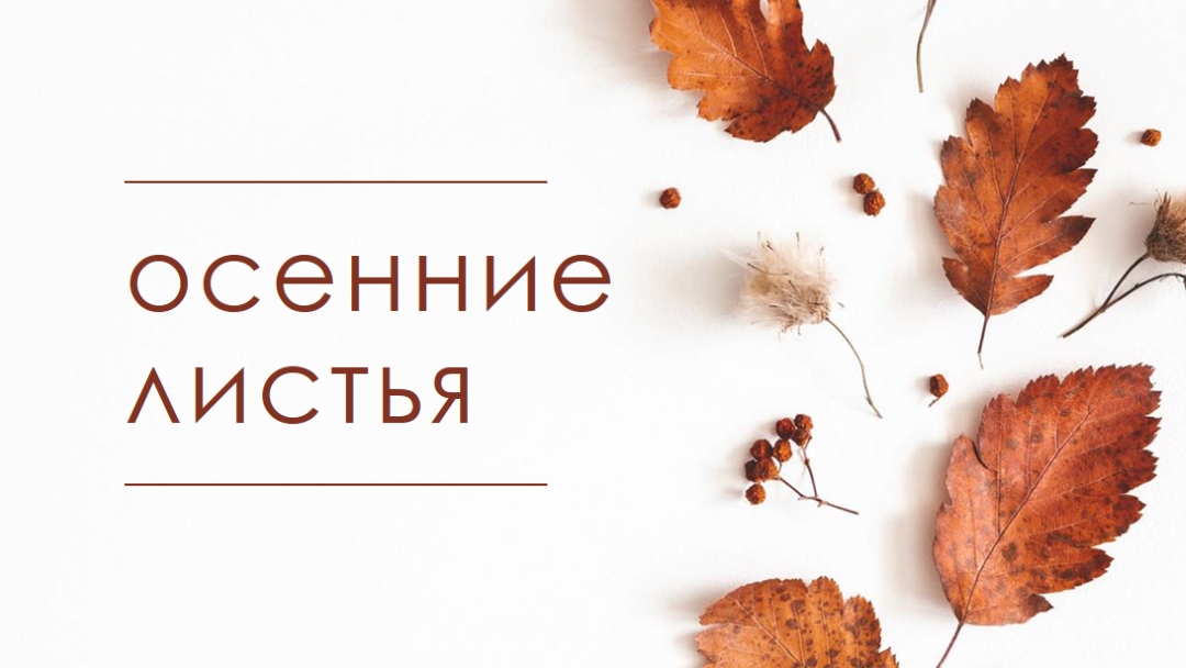 Листья упали white modern-simple