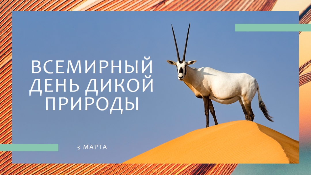 Празднование дикой природы orange modern-bold