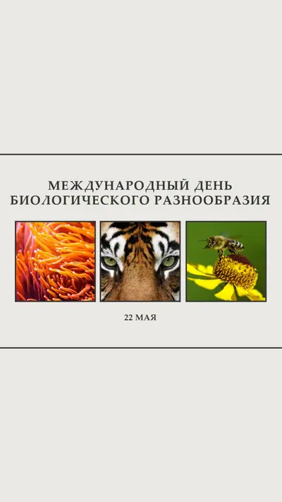 Оживление природы gray modern-simple