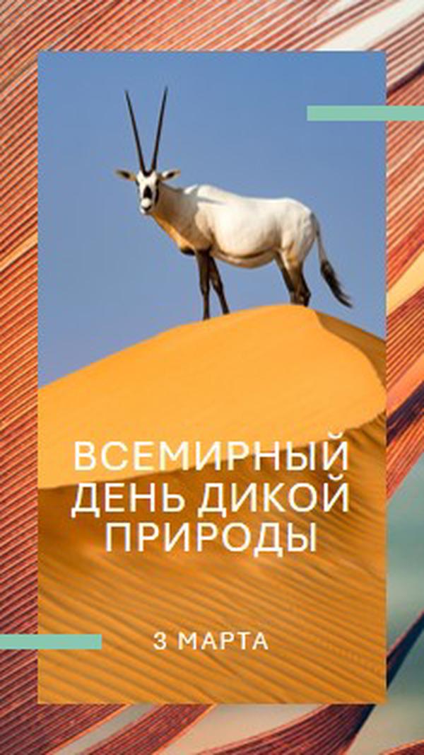 Празднование дикой природы orange modern-bold