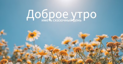 Сказочный день blue modern,simple,photography,flowers,birght,fresh