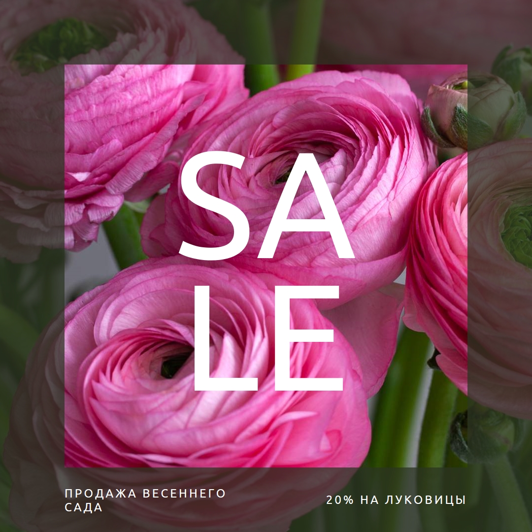 Весенние сады pink modern-simple