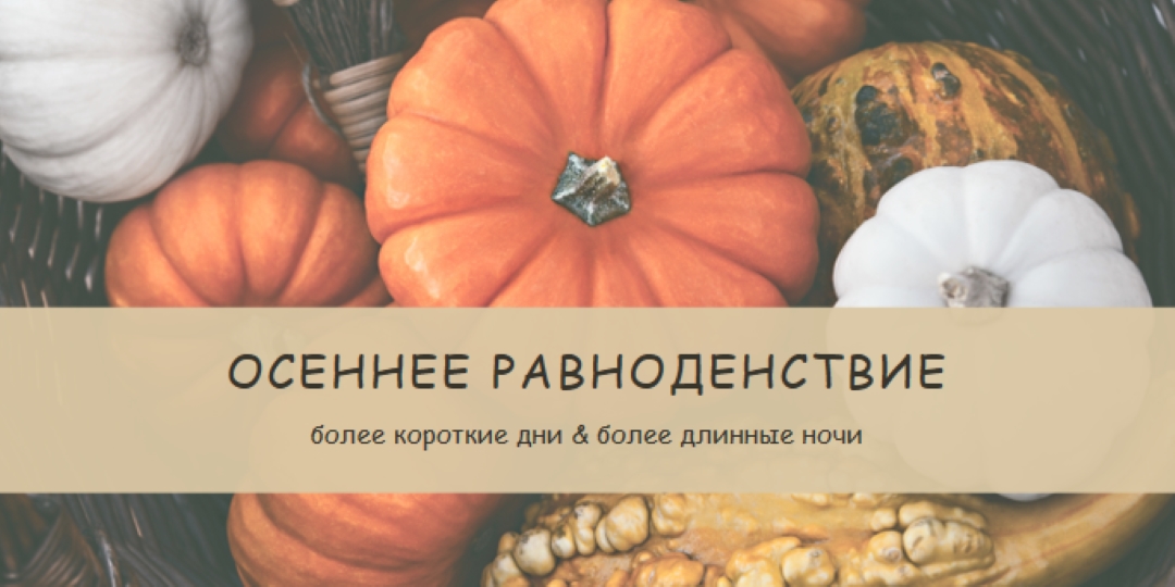 Празднуйте осеннее равноденствие orange modern-simple