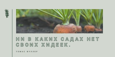 Глубокие корни green modern-simple