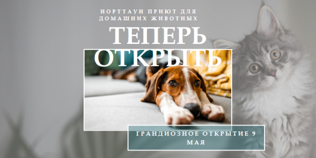 Кошки и собаки gray modern-simple