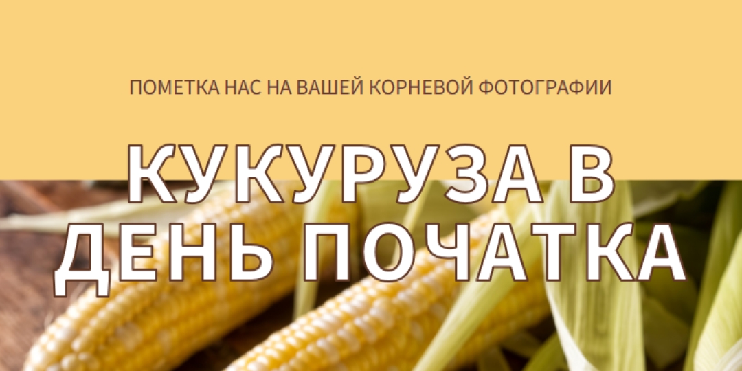 Отряд початка yellow modern-simple