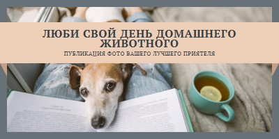 Ваш лучший приятель gray modern-simple
