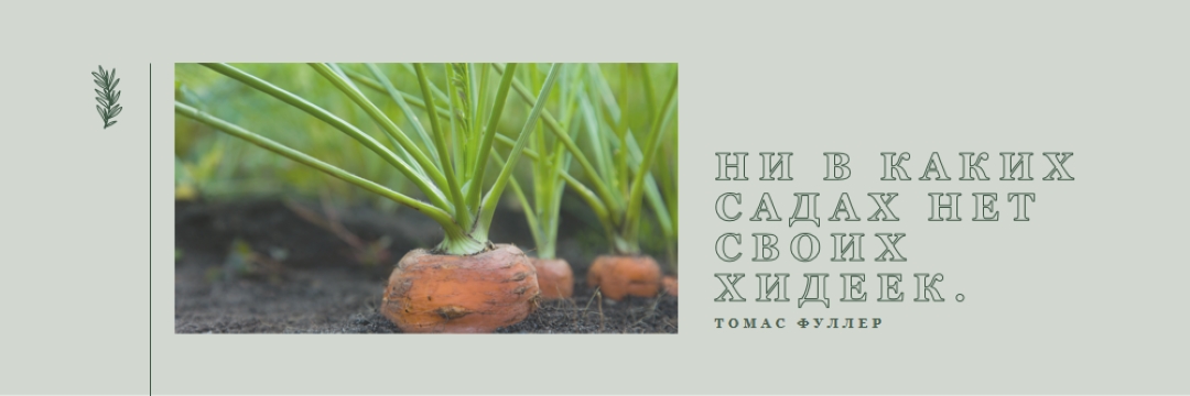 Глубокие корни green modern-simple