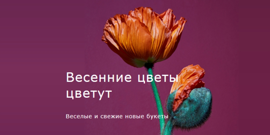 Свежие цветы purple modern-simple