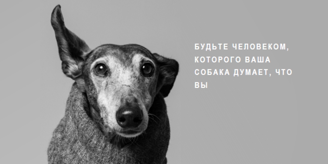 Любовь щенка gray modern-simple