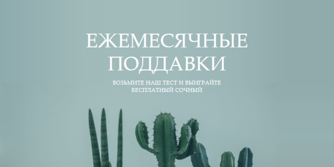 Ежемесячный тест на раздачи green modern-simple