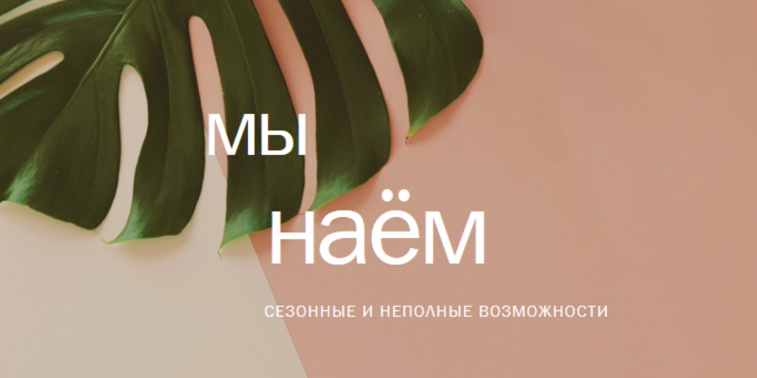 Мы нанимаем сезонных работников pink modern-simple