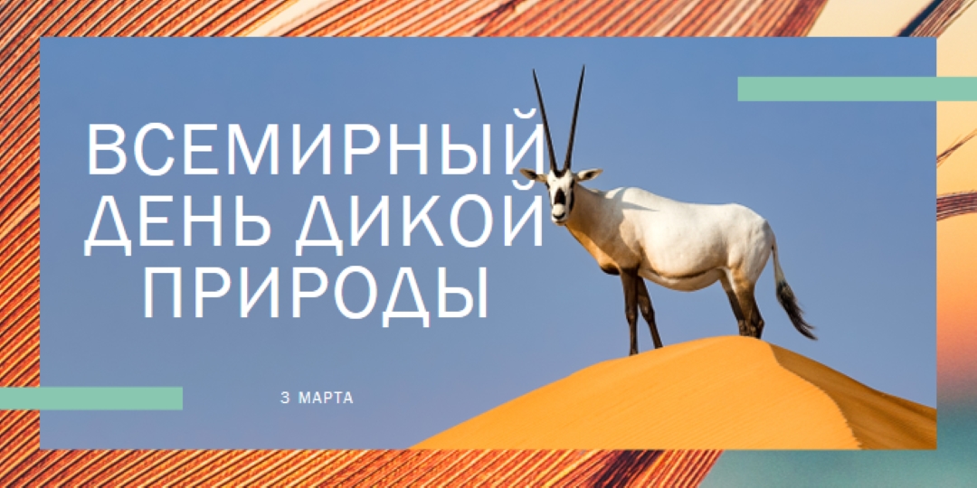 Празднование дикой природы orange modern-bold