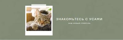 Познакомьтесь с нашим новым котом green modern-simple