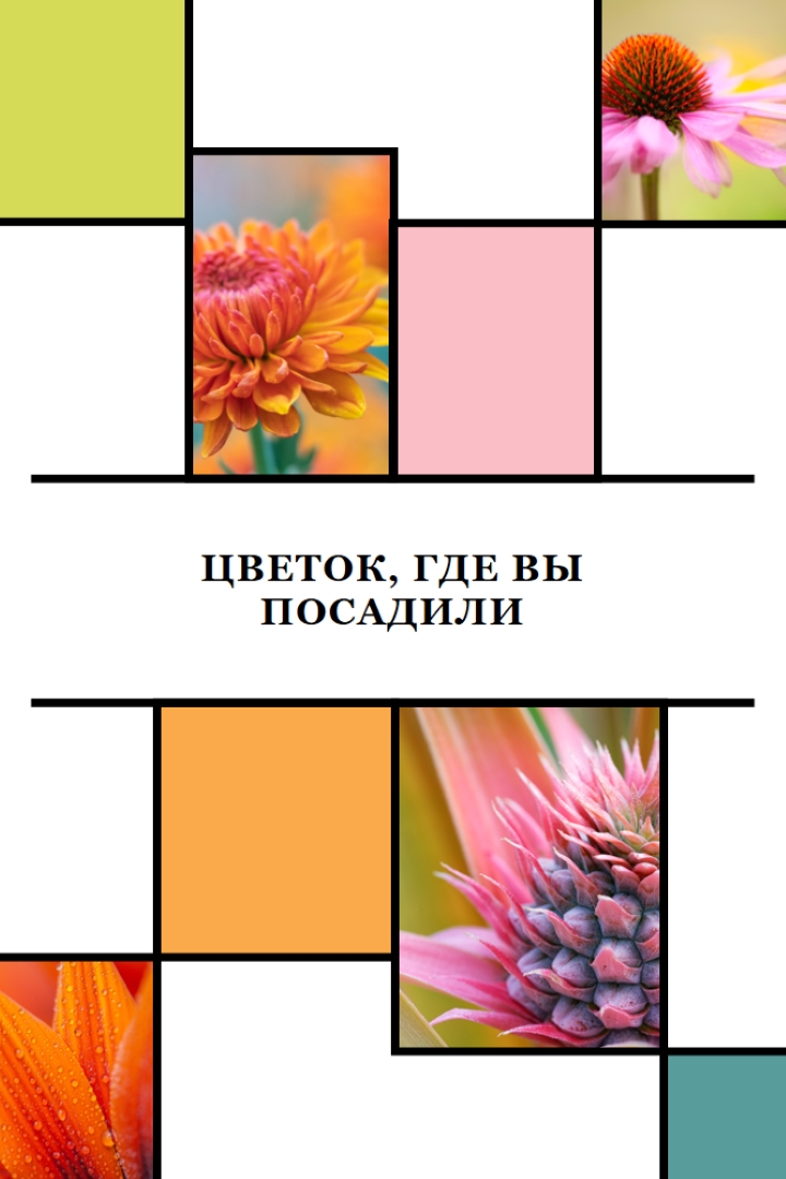 Цветок, где вы посадили white modern-geo-&-linear