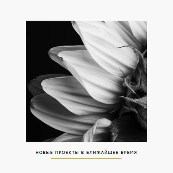 Хрустящие лепестки white modern-simple