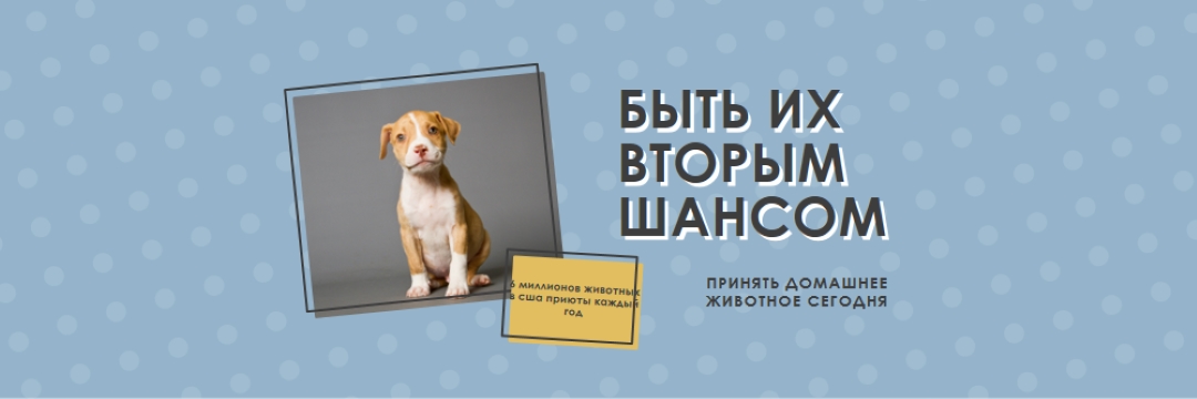 Второй шанс щенка blue modern-bold