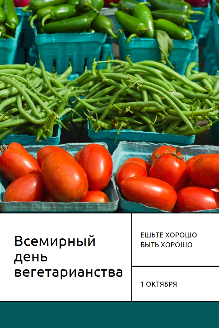 Завод с питанием green modern-bold