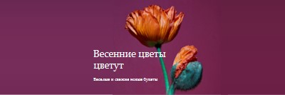 Свежие цветы purple modern-simple