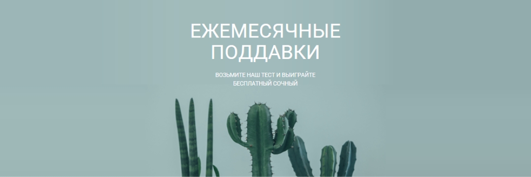 Ежемесячный тест на раздачи green modern-simple