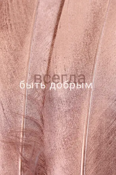 Дружественная структура pink modern-simple