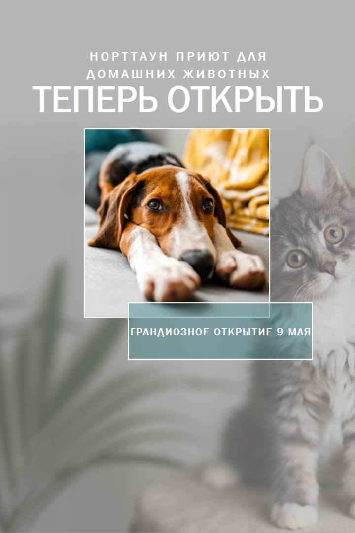 Кошки и собаки gray modern-simple
